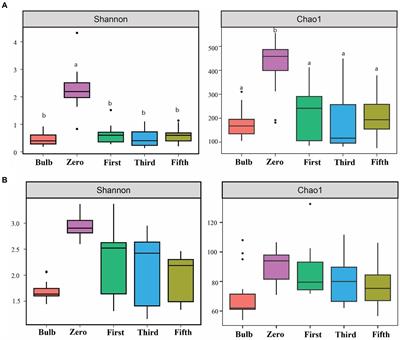 Highly diverse microbial community of regenerated seedlings reveals the high capacity of the bulb in lily, Lilium brownii